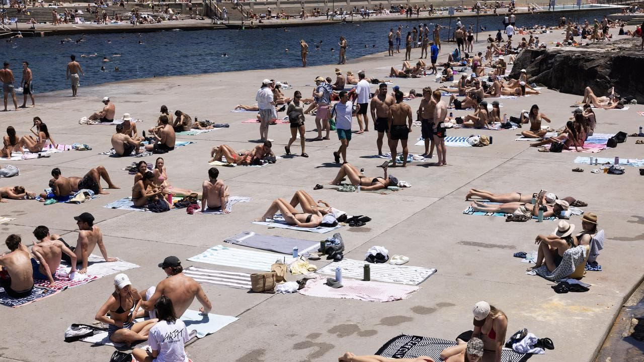 People sunning themselves at Clovelly Beach in January 2026.