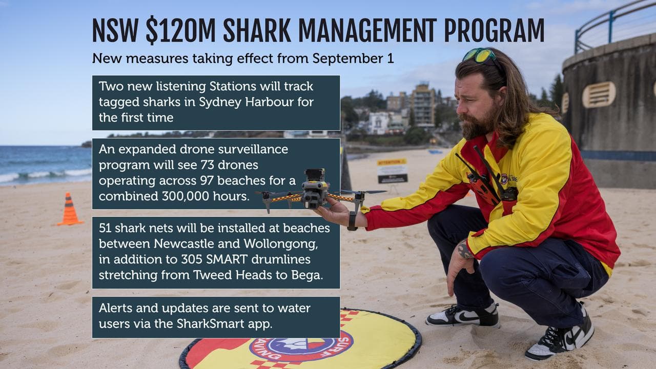 NSW shark management program graphic