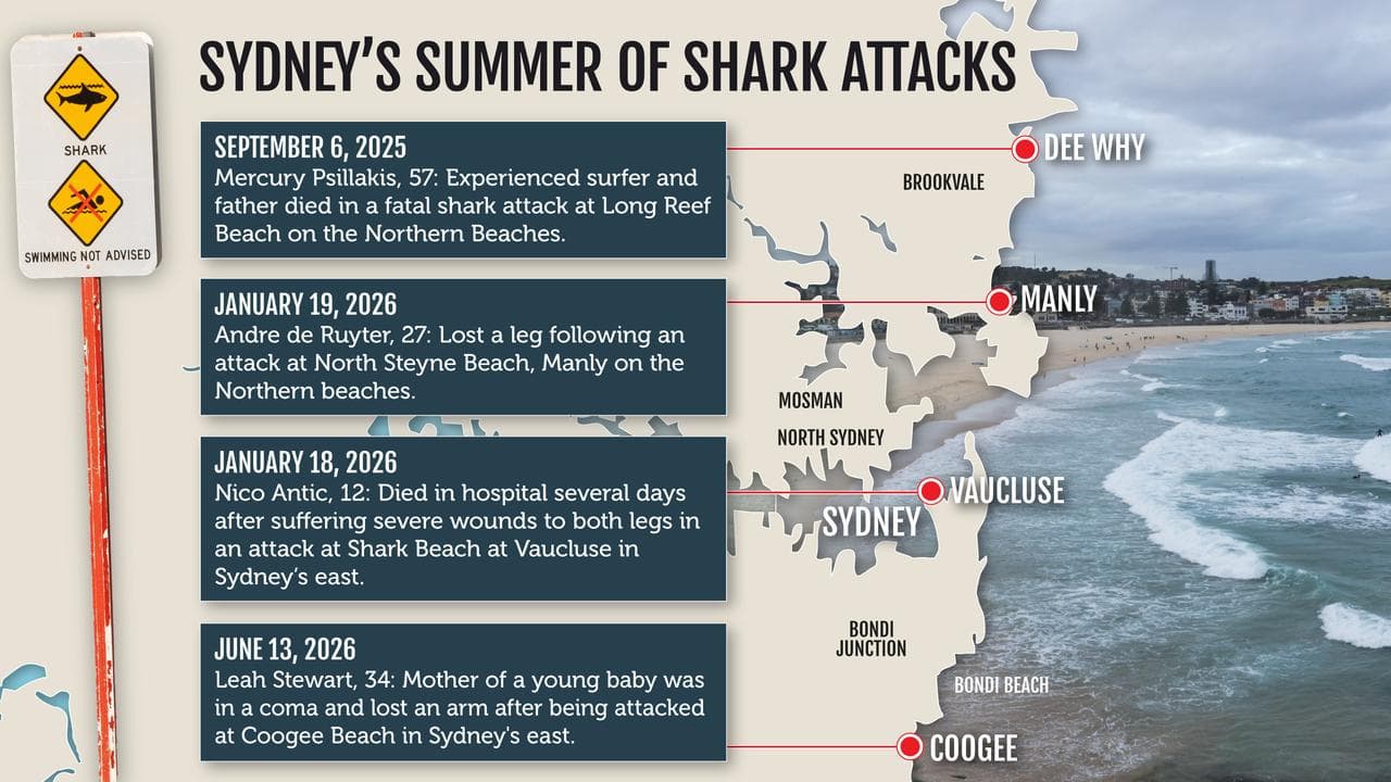 Sydney shark attack graphic