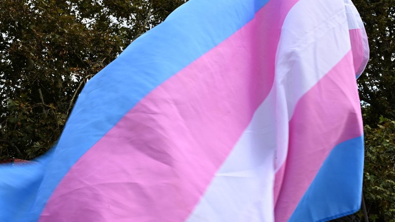 Transgender flag