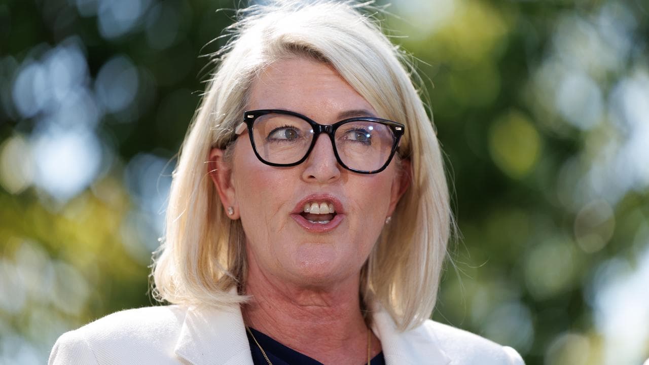 NSW Police  Minister Yasmin Catley