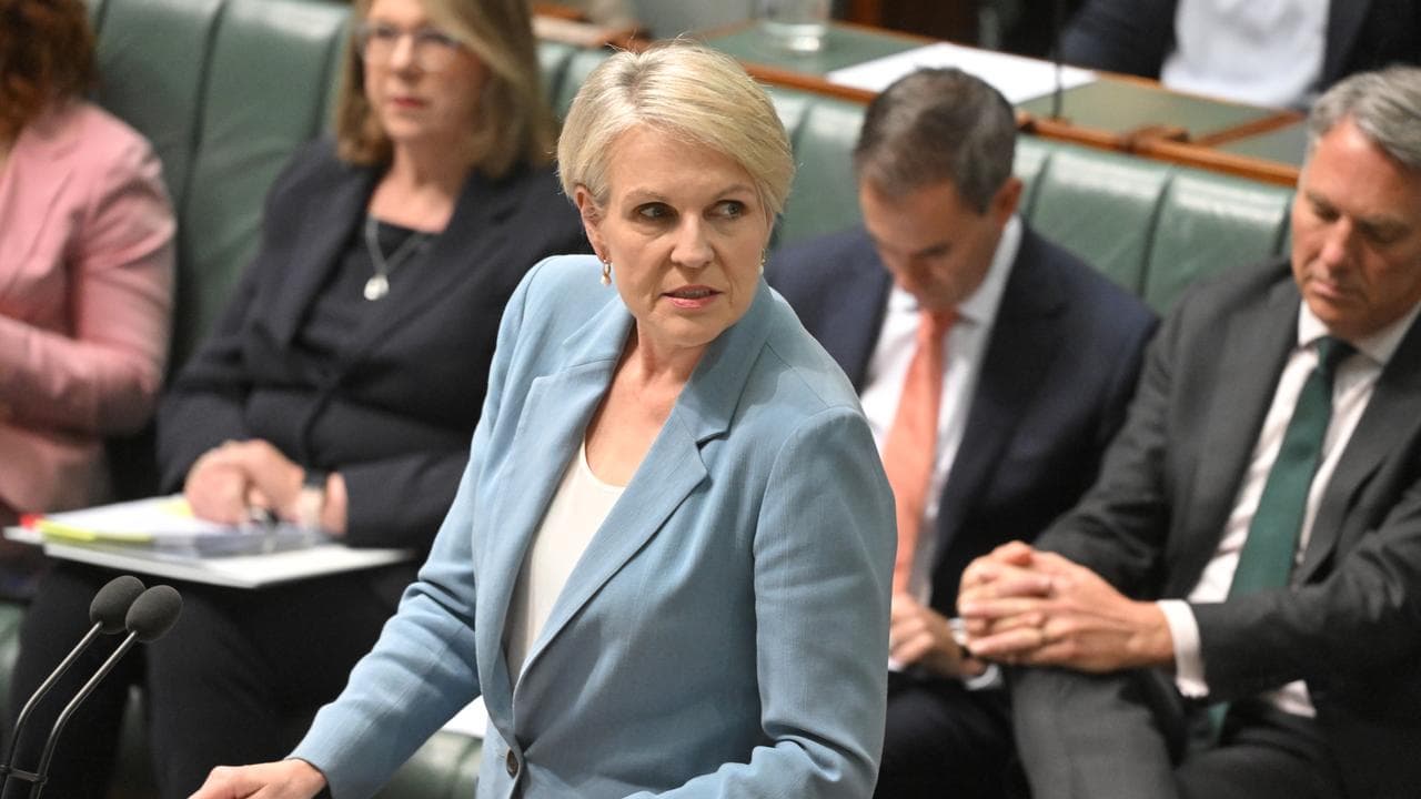 Social Services Minister Tanya Plibersek