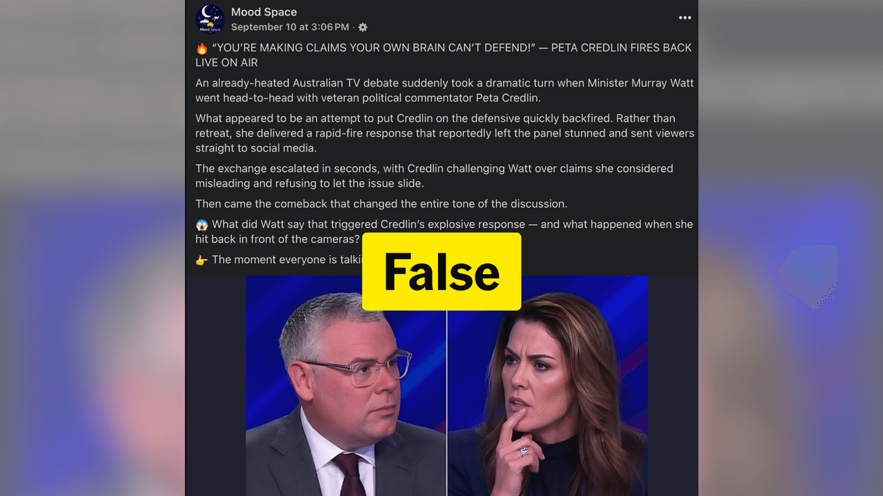 Screenshot of a fake post showing Murray Watt and Peta Credlin