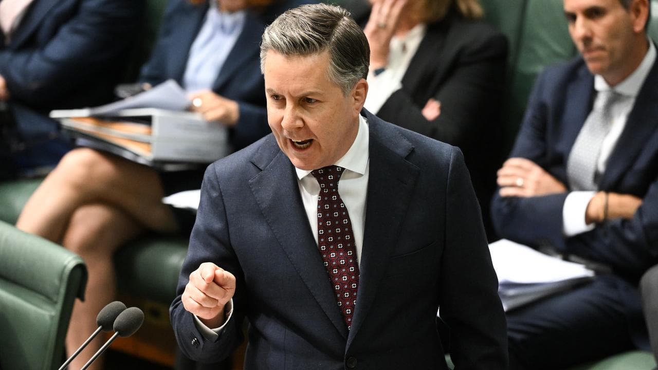 Health Minister Mark Butler in Question Time