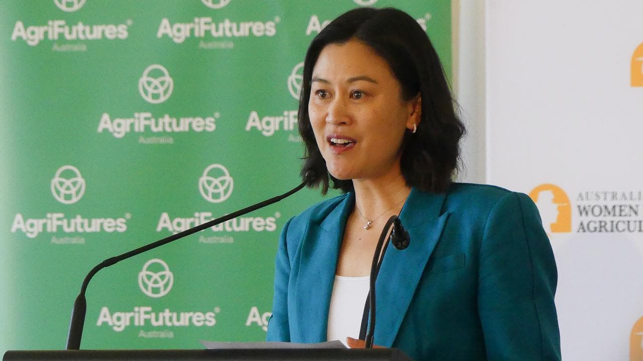 AI business consultant and Ryka Global chief executive Vi Nguyen