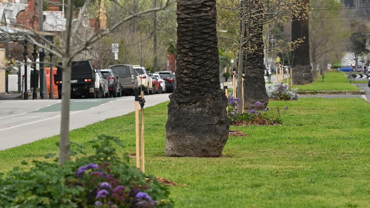 A median strip on Canning Street, Melbourne