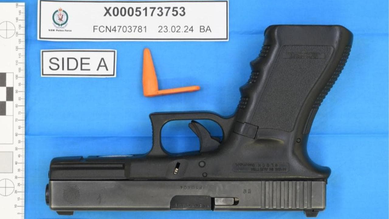 police service pistol