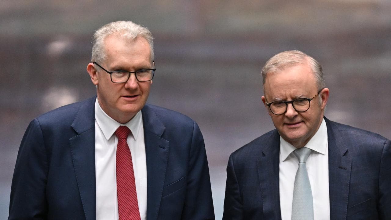 Tony Burke and Anthony Albanese