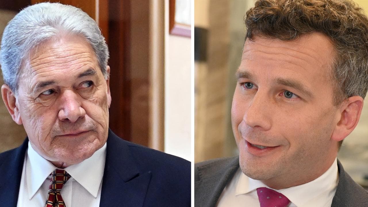 WINSTON PETERS DAVID SEYMOUR DIPTYCH