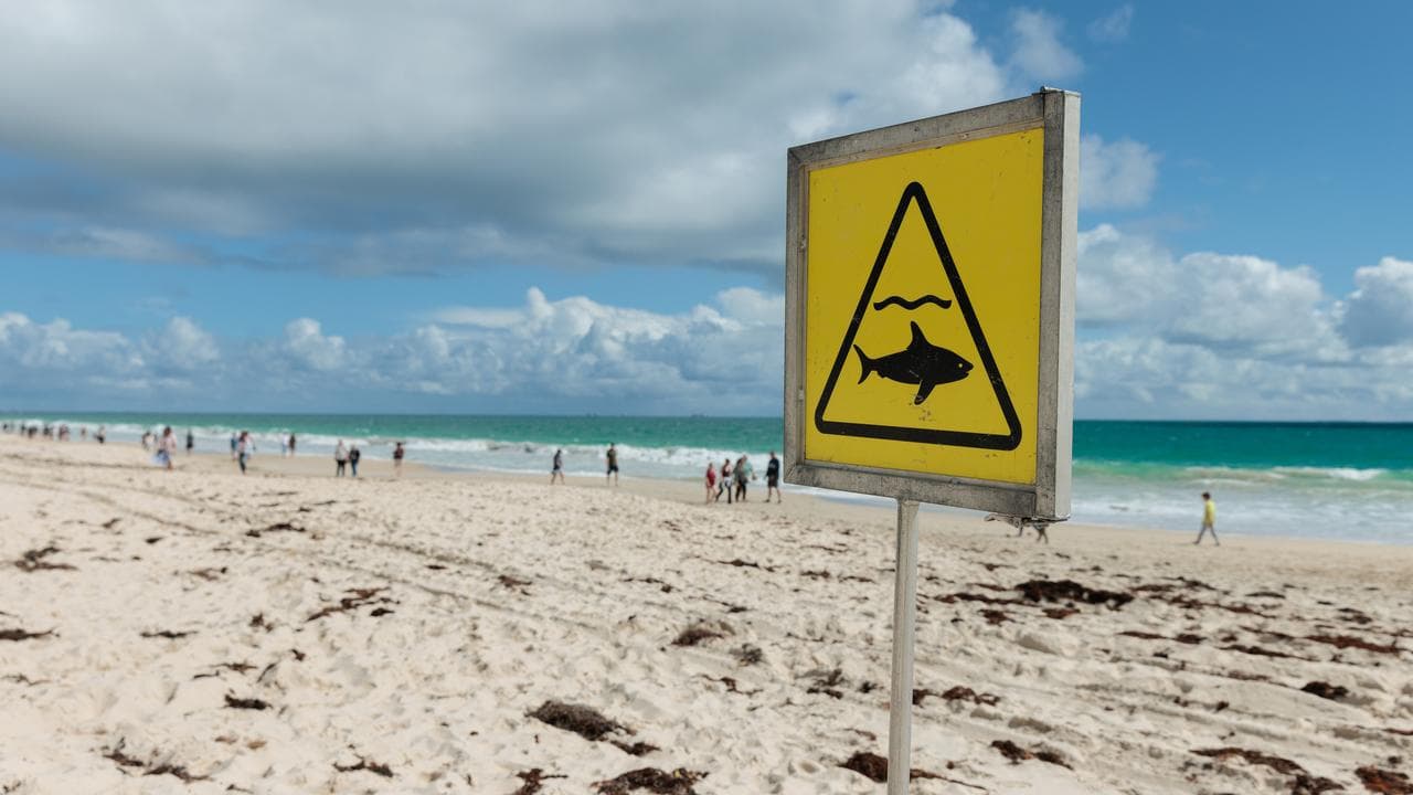 A shark warning sign on City Beach