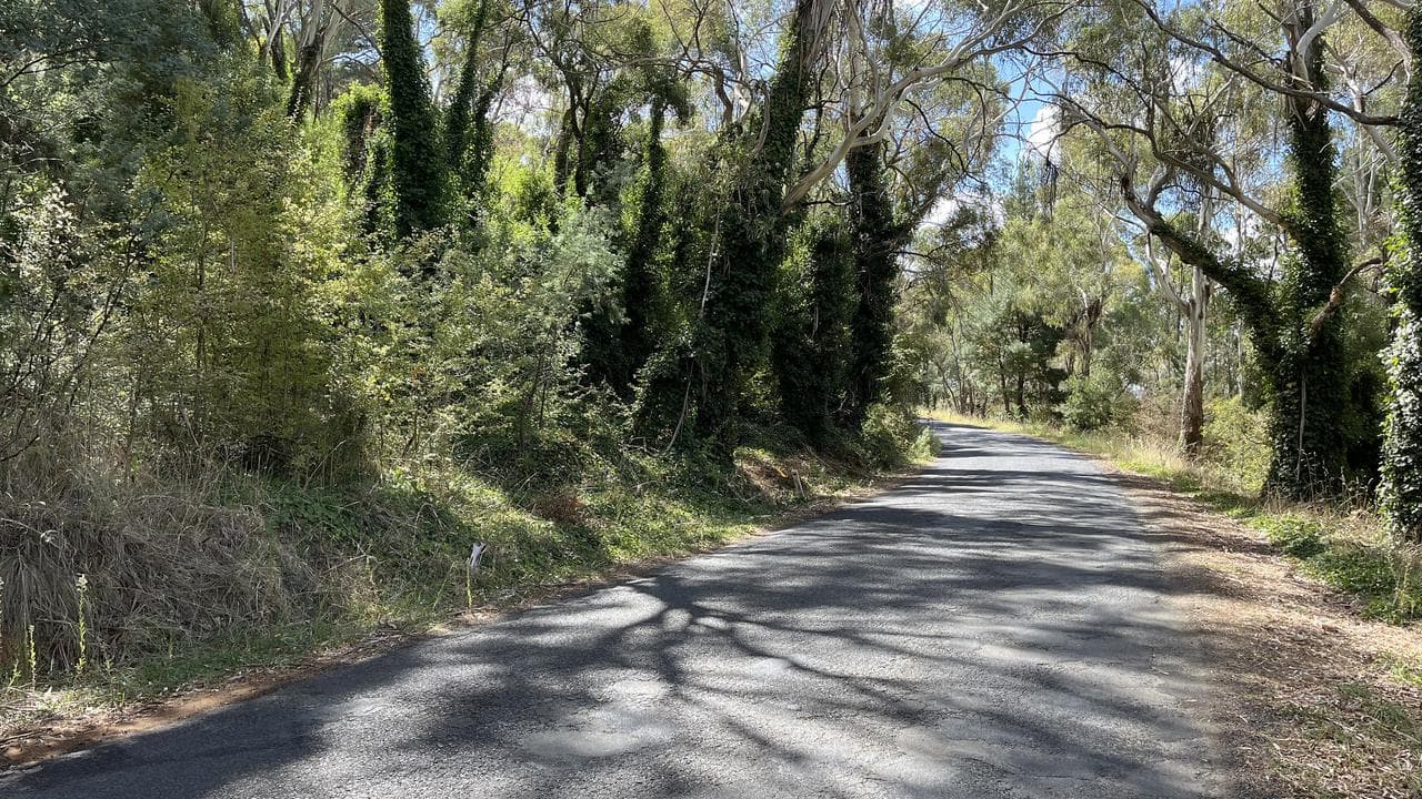 Lake Canobolas Road