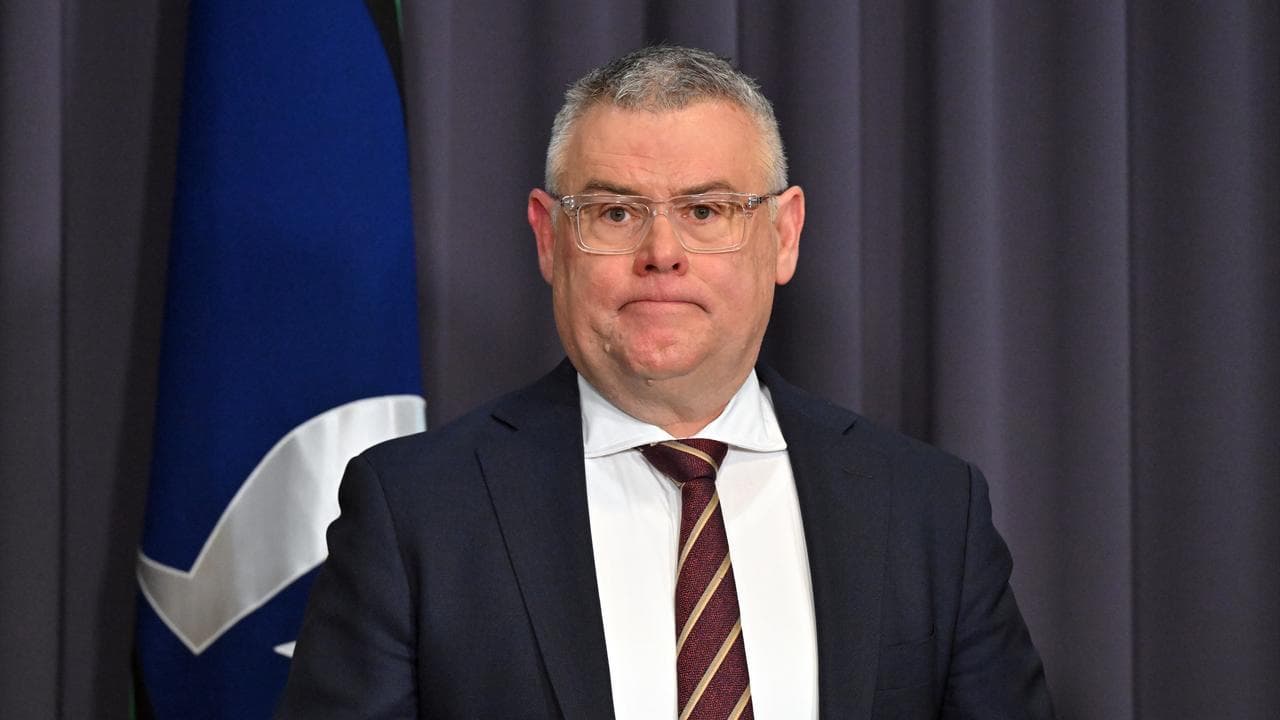 Environment Minister Murray Watt (file image)