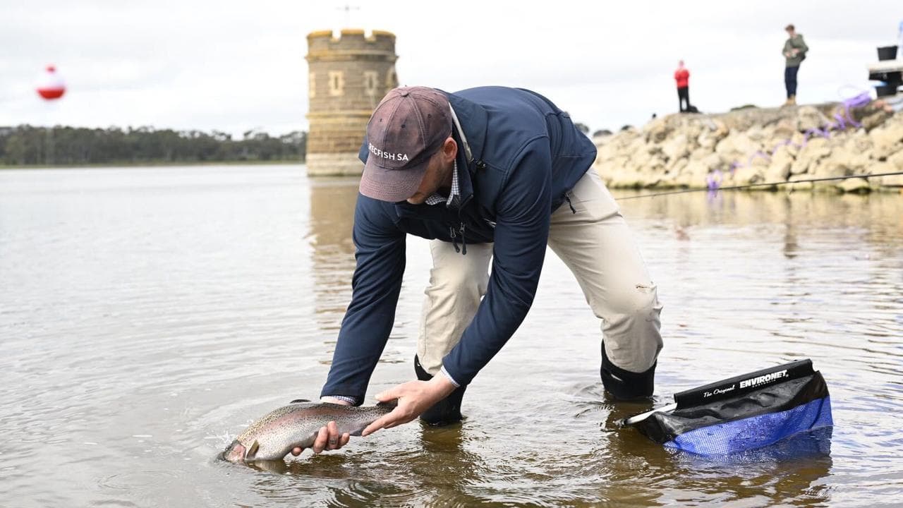 Asher Dezsery restocks Happy Valley Reservoir
