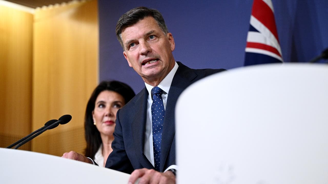 Opposition leader Angus Taylor speaks to the media