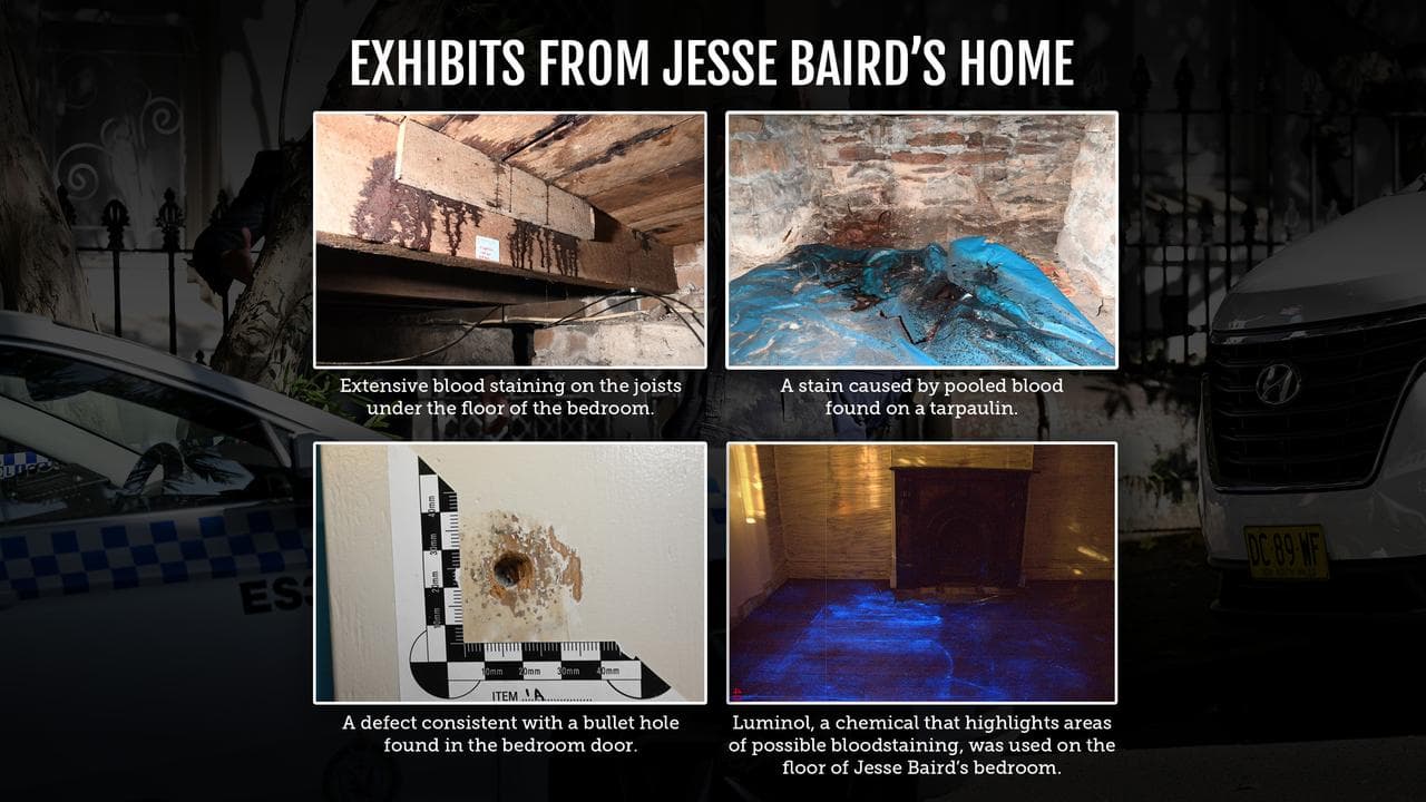 forensic evidence from home, including alleged blood staining
