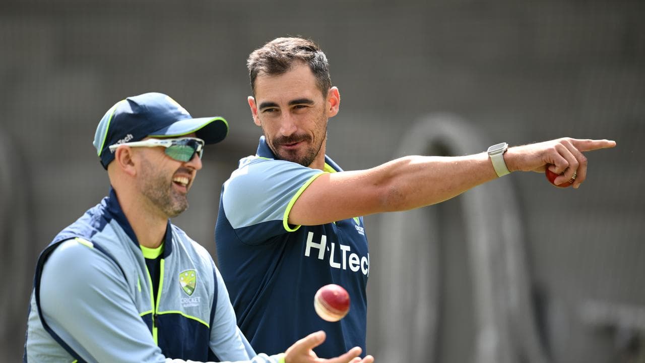 Nathan Lyon and Mitch Starc