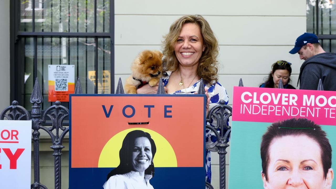 woman holding dog in front of placards