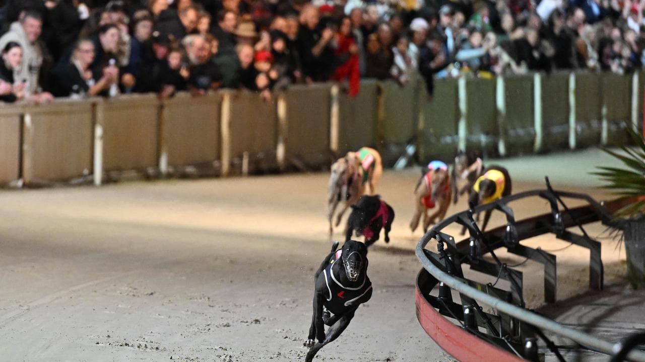 Last race meeting for the Dapto Dogs in Dapto, Wollongong