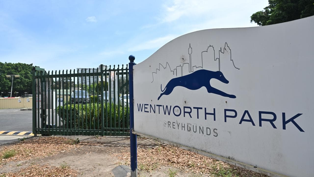 Wentworth Park Sporting and Greyhound Racing Venue