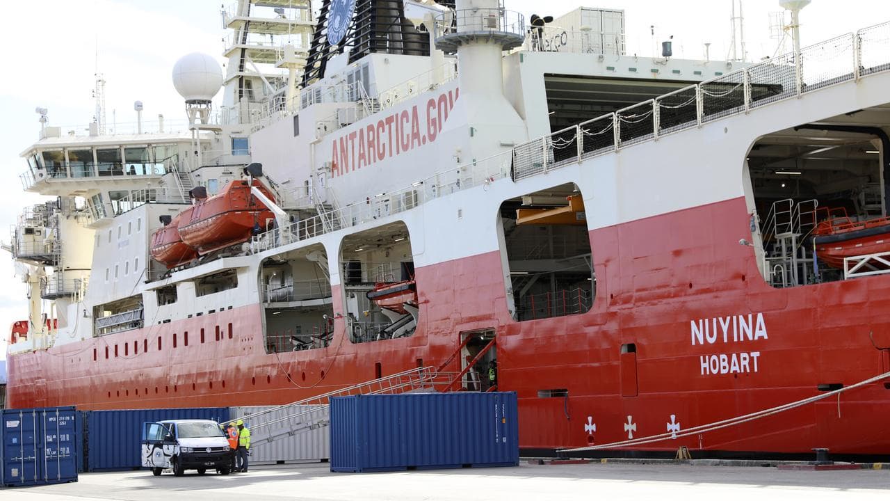 RSV Nuyina
