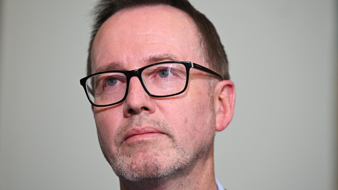 David Shoebridge