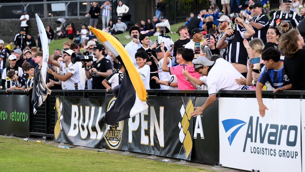 Bulls supporters.
