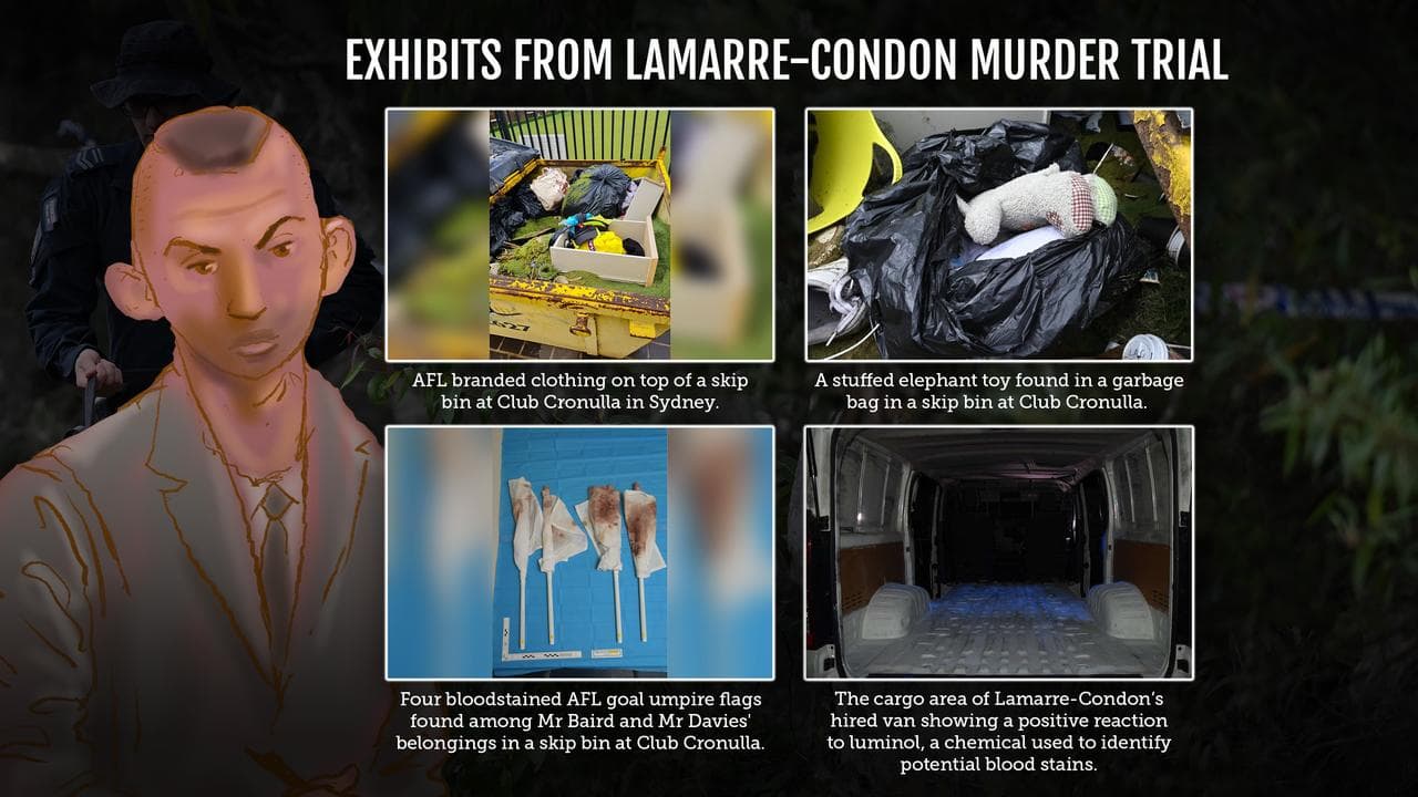 graphic of bloody flags, bin skip, and back of van