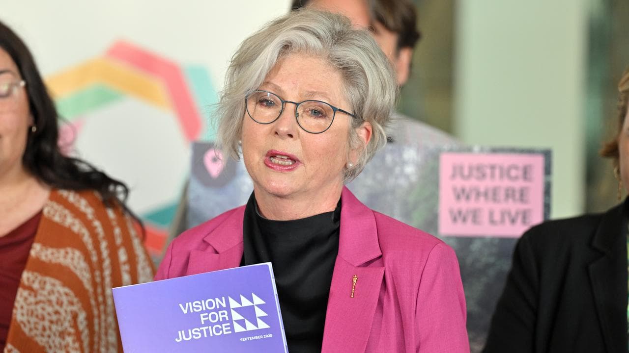 Independent member for Indi Helen Haines (file image)