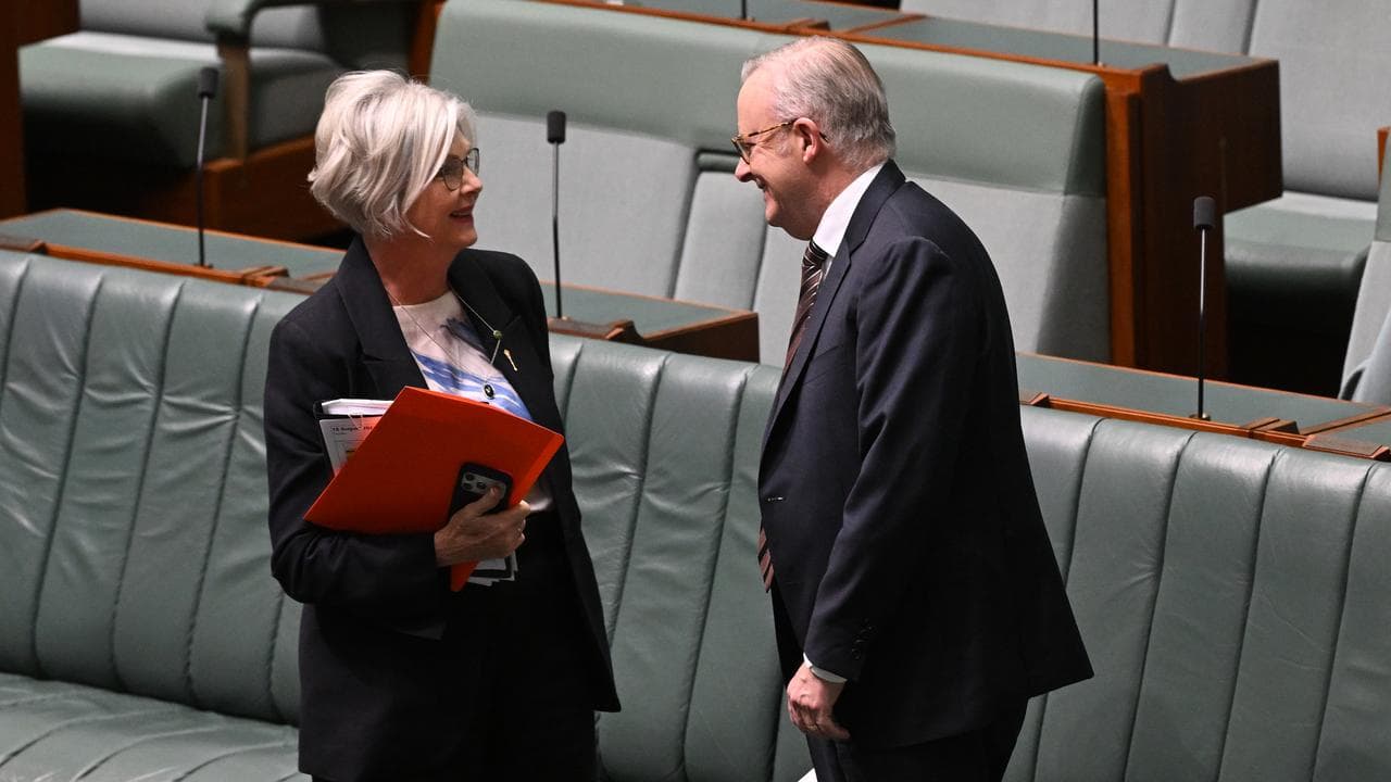 Helen Haines and Anthony Albanese (file image)