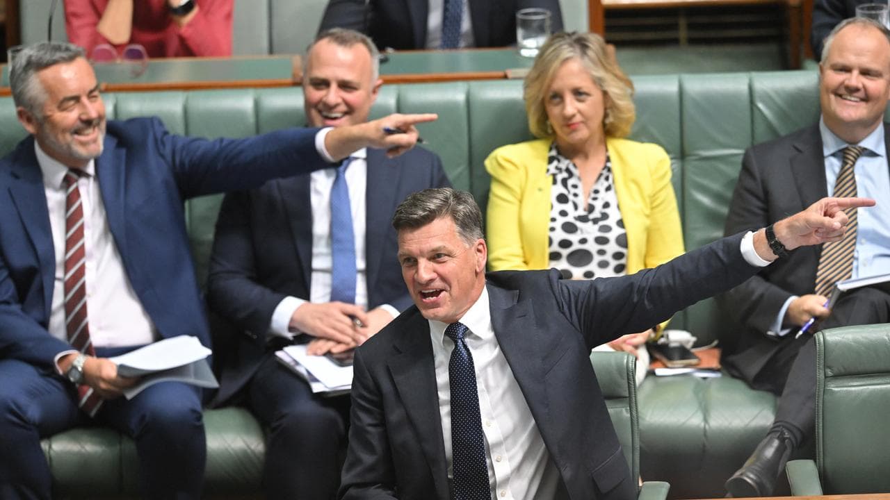 Opposition Leader Angus Taylor during Question Time (file image)