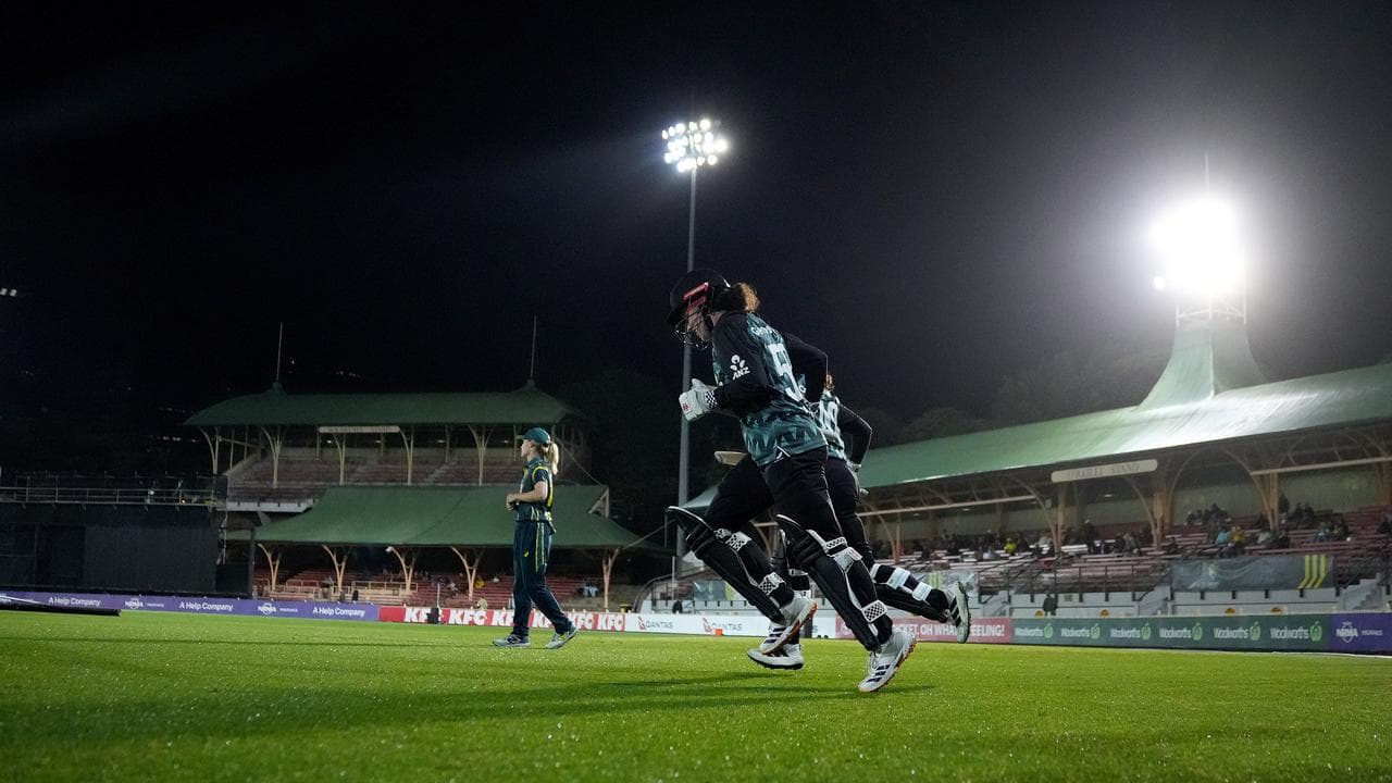 Cricket