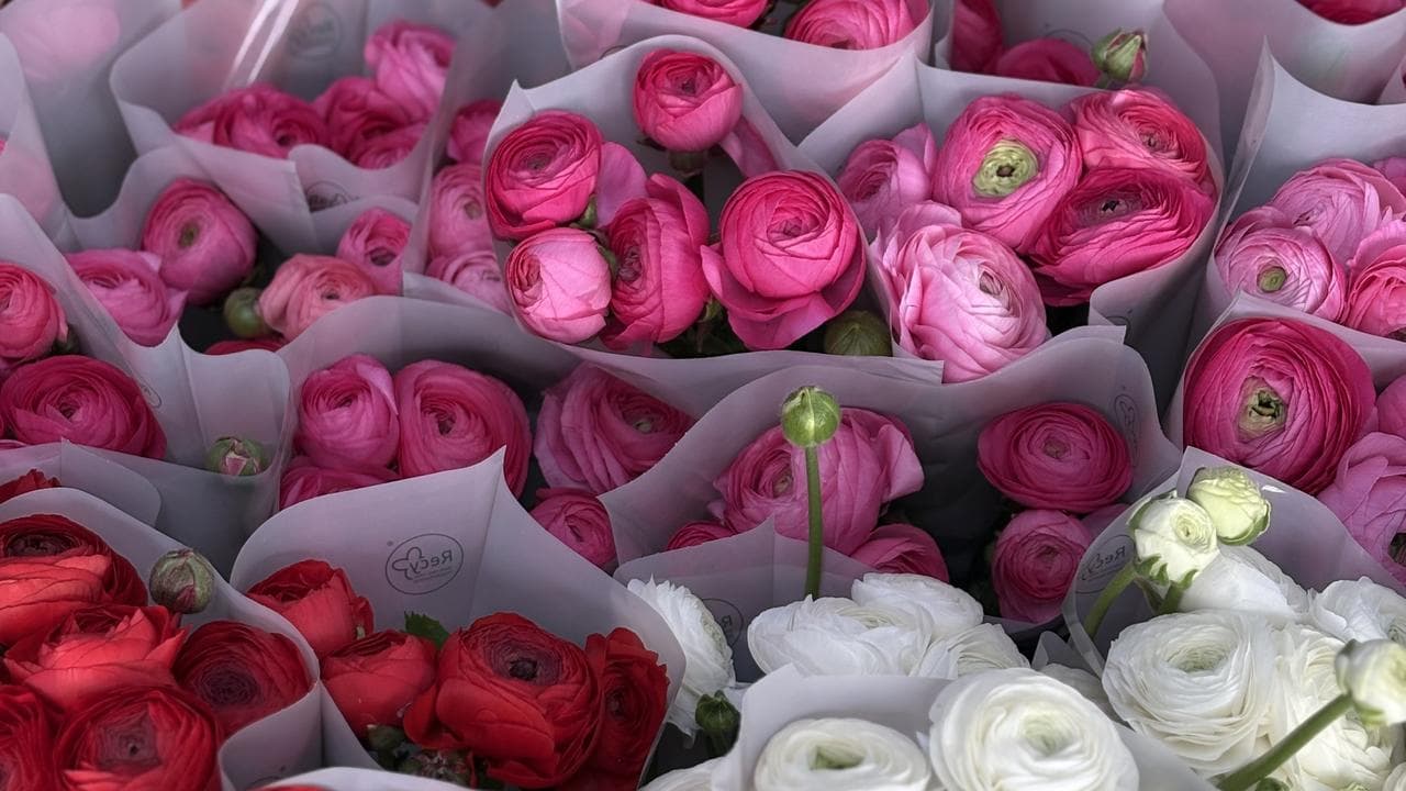 Bouquets of flowers wrapped in recycled plastic sleeves