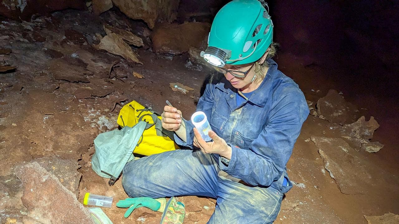 Dr Jess Marsh