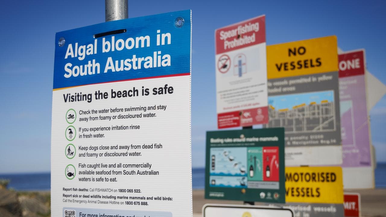 Algal Bloom signs