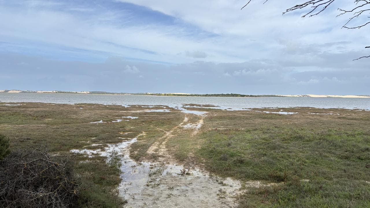 a lagoon in Coorong