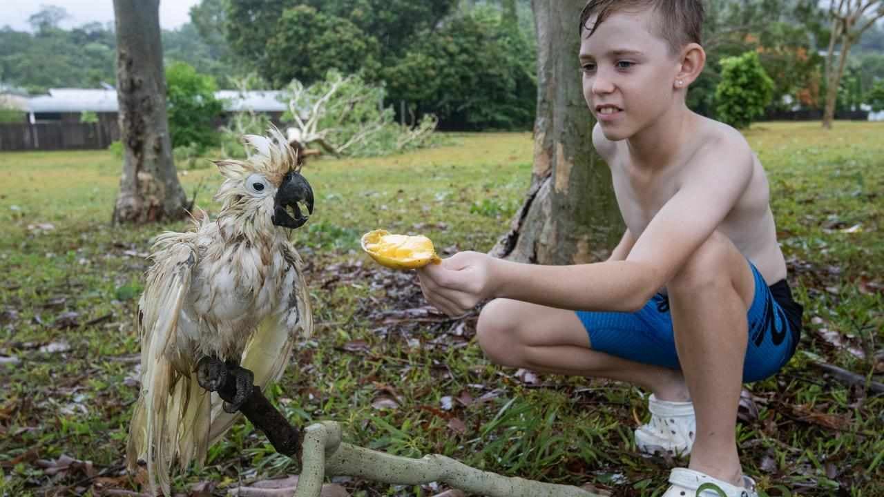 Jasper loses sting but floods and wind wreak havoc