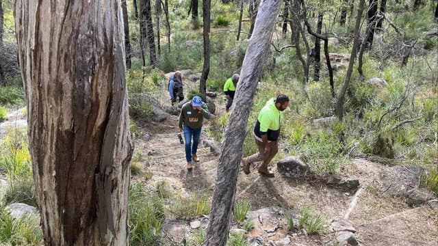 Cultural burns help to protect country from bushfires