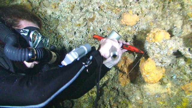 Study indicates climate change clock forward a decade