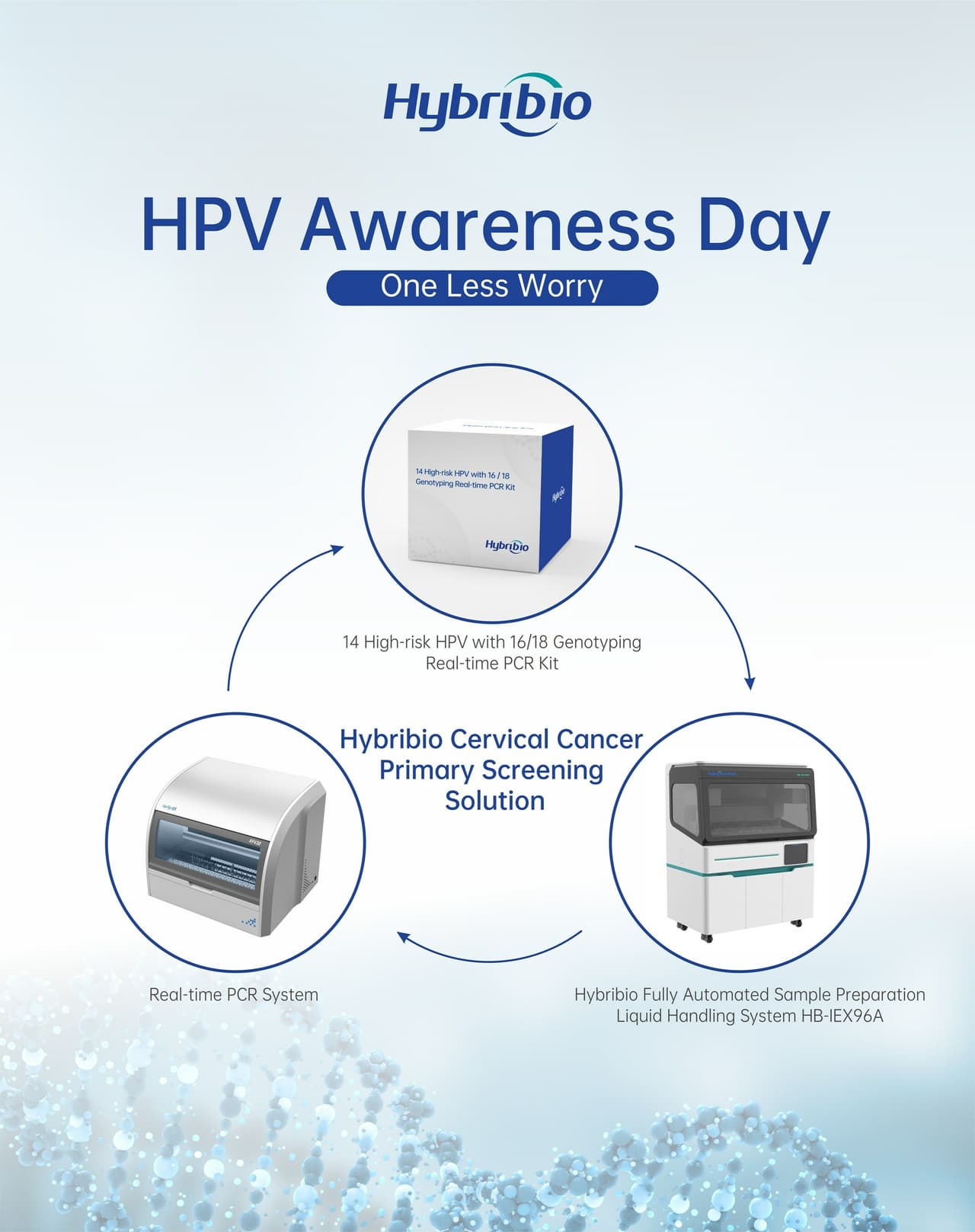 Hybribio Calls for Raising International HPV Awareness