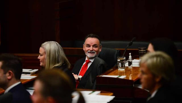 Tasmanian Labor 'naive' about stadium: former leader