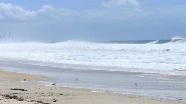 Teenage girl survives suspected shark attack at beach