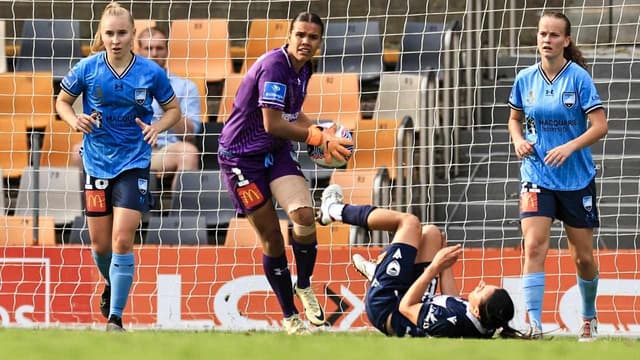 Melbourne City take premiership after Sydney FC blow it