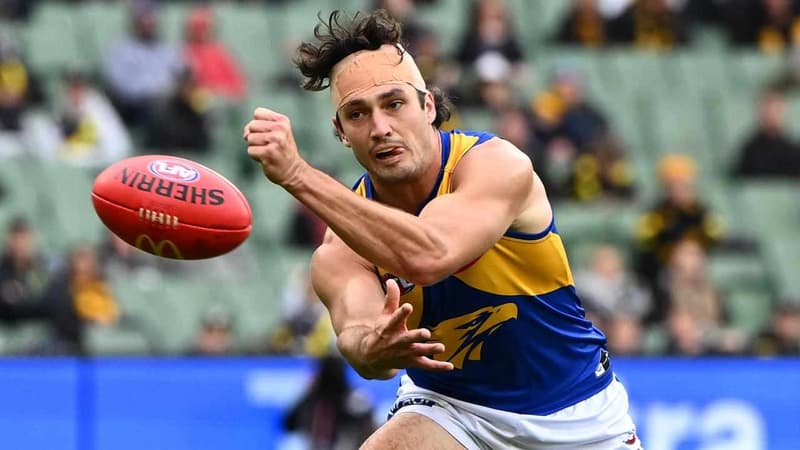 Tim Barrass Tom Barrass 'good guy' defence fails at AFL Tribunal