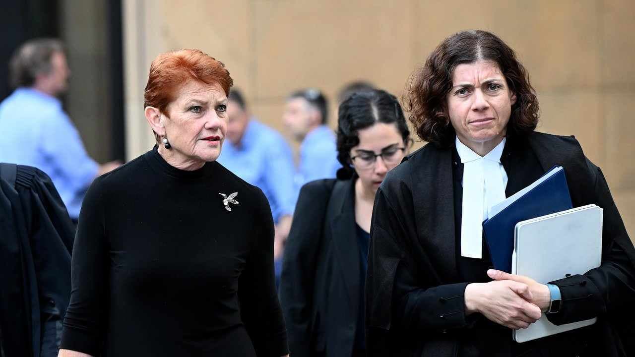 Greens senator sued Hanson to draw a 'line in the sand'