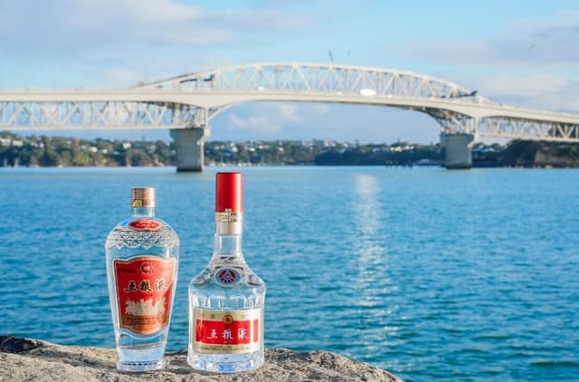 Xinhua Silk Road: Chinese Baijiu maker Wuliangye voted as most-favored Chinese brand by global consumers for third time