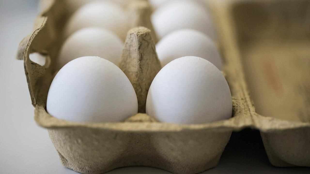 Bird flu cull leads to 450,000 fewer eggs per day