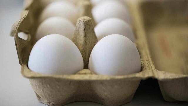 Bird flu cull leads to 450,000 fewer eggs per day