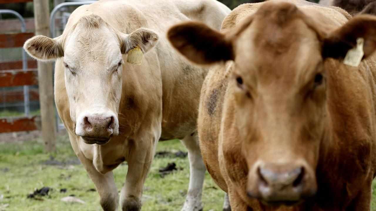 Abolition of farming not on the World Bank agenda