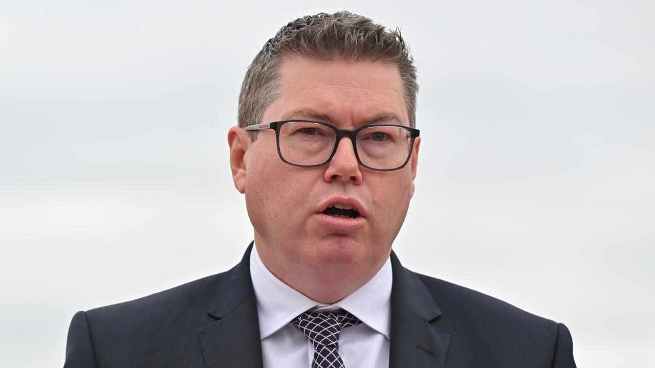 Minister blasts Greens over Israel defence export deals