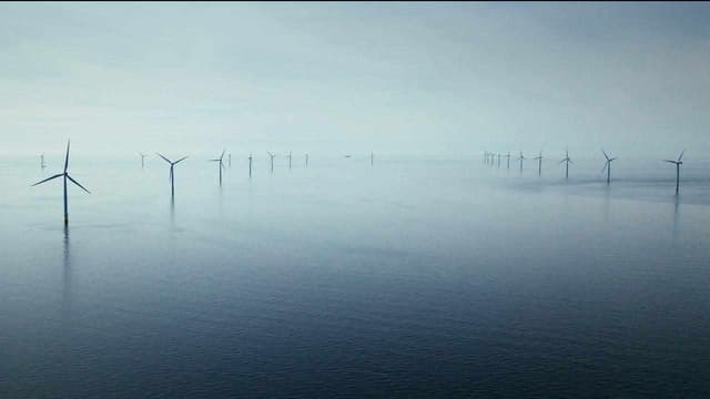 Conservationists welcome downsized NSW wind farm zone